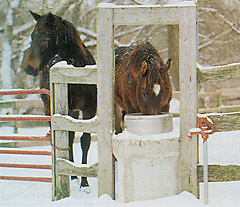 Free Standing Waterer Image 001